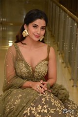 Kashmira at Nartanasala Pre Release Event